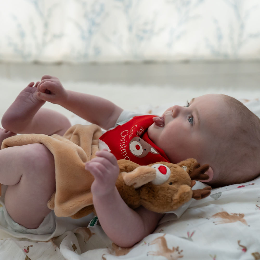 Christmas Reindeer & Rabbit Single Muslin - Image 6