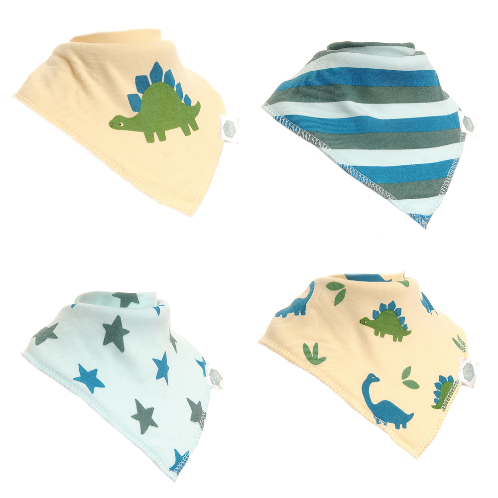 Dino and Stars Bib Set