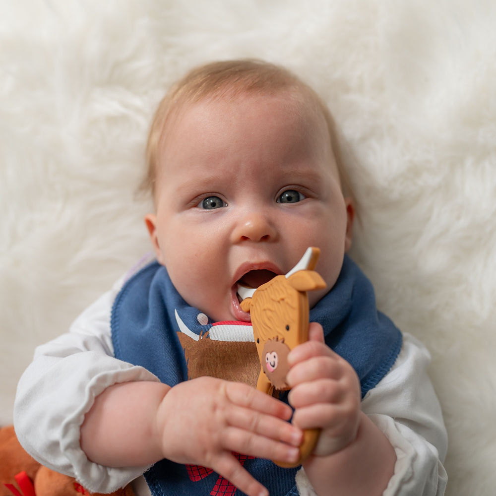 Highland Cow Christmas Bib - Image 4